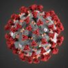 corona virus