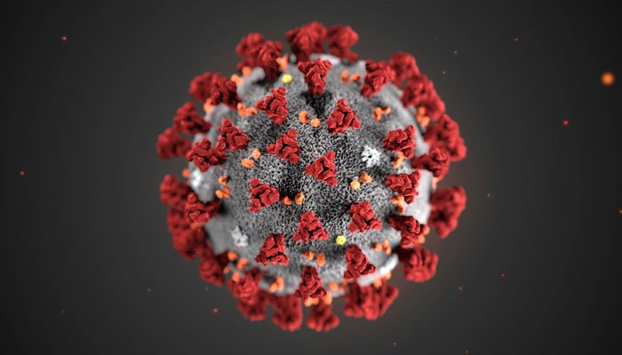 corona virus