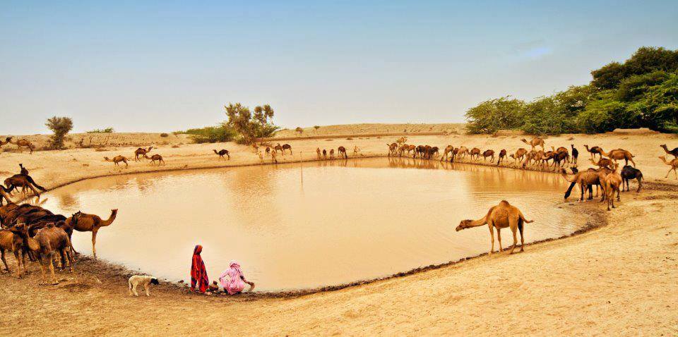 Tharparkar